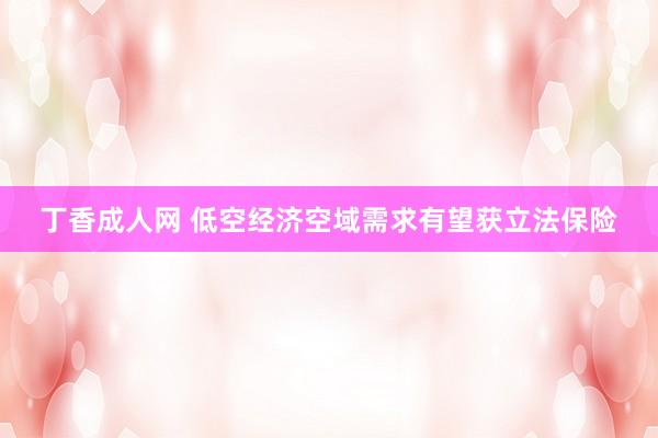 丁香成人网 低空经济空域需求有望获立法保险
