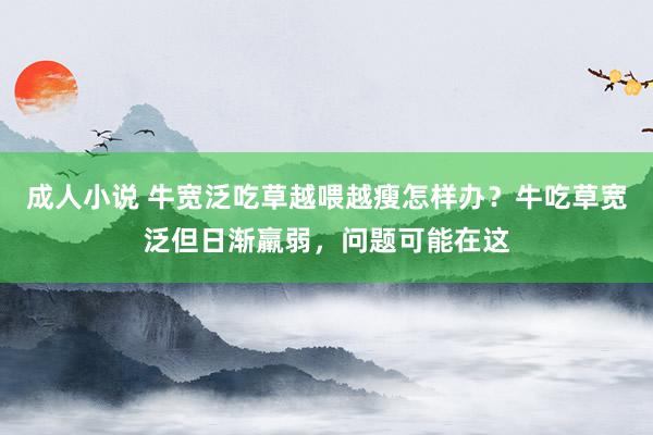 成人小说 牛宽泛吃草越喂越瘦怎样办？牛吃草宽泛但日渐羸弱，问题可能在这