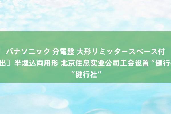 パナソニック 分電盤 大形リミッタースペース付 露出・半埋込両用形 北京住总实业公司工会设置“健行社”
