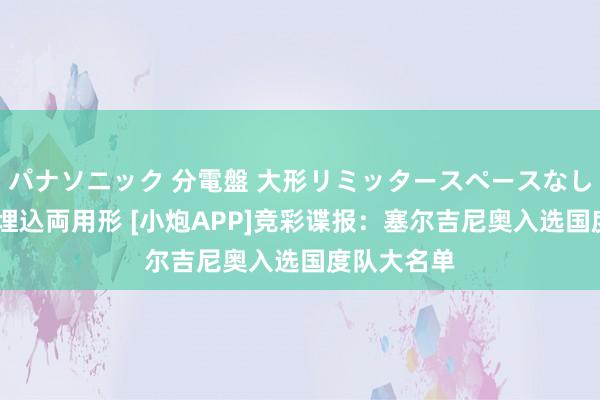 パナソニック 分電盤 大形リミッタースペースなし 露出・半埋込両用形 [小炮APP]竞彩谍报：塞尔吉尼奥入选国度队大名单