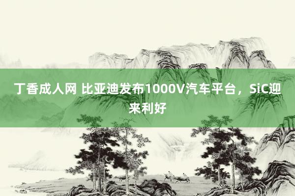 丁香成人网 比亚迪发布1000V汽车平台，SiC迎来利好