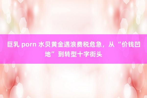 巨乳 porn 水贝黄金遇浪费税危急，从 “价钱凹地” 到转型十字街头