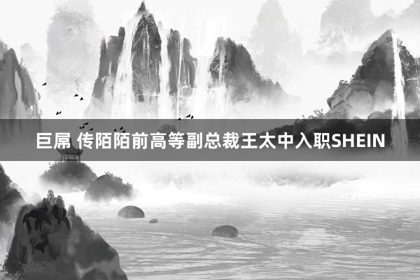 巨屌 传陌陌前高等副总裁王太中入职SHEIN