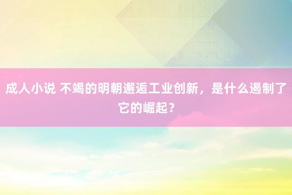 成人小说 不竭的明朝邂逅工业创新，是什么遏制了它的崛起？
