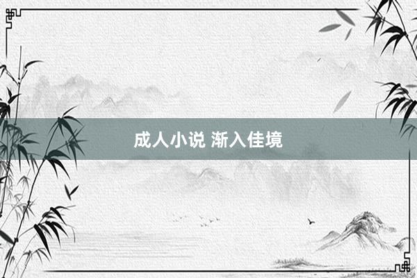 成人小说 渐入佳境