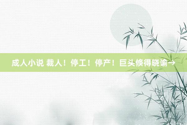 成人小说 裁人！停工！停产！巨头倏得晓谕→