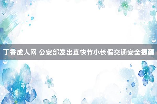 丁香成人网 公安部发出直快节小长假交通安全提醒
