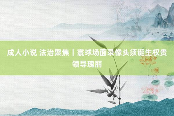 成人小说 法治聚焦｜寰球场面录像头须诞生权贵领导瑰丽