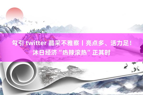 勾引 twitter 晶采不雅察丨亮点多、活力足！沐日经济“热辣滚热”正其时