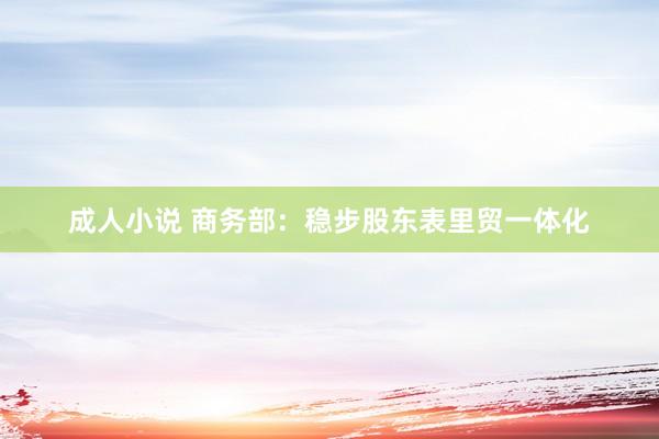 成人小说 商务部：稳步股东表里贸一体化