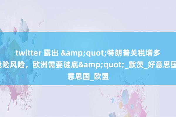 twitter 露出 &quot;特朗普关税增多金融危险风险，欧洲需要谜底&quot;_默茨_好意思国_欧盟