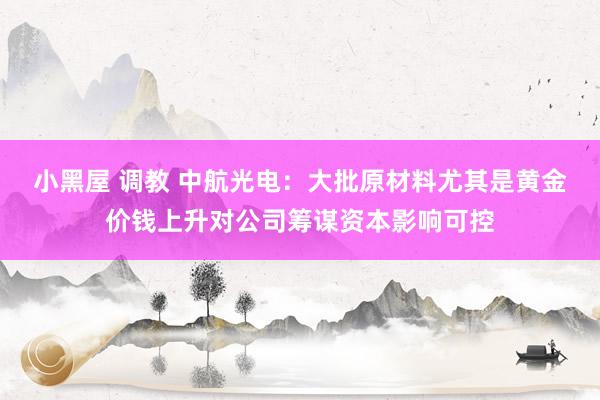 小黑屋 调教 中航光电：大批原材料尤其是黄金价钱上升对公司筹谋资本影响可控