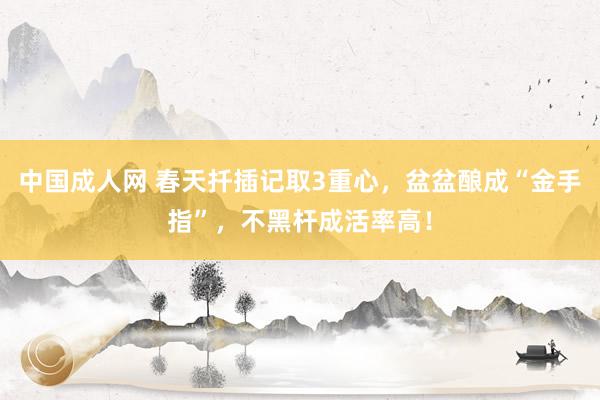 中国成人网 春天扦插记取3重心，盆盆酿成“金手指”，不黑杆成活率高！