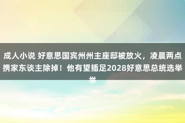 成人小说 好意思国宾州州主座邸被放火，凌晨两点携家东谈主除掉！他有望插足2028好意思总统选举