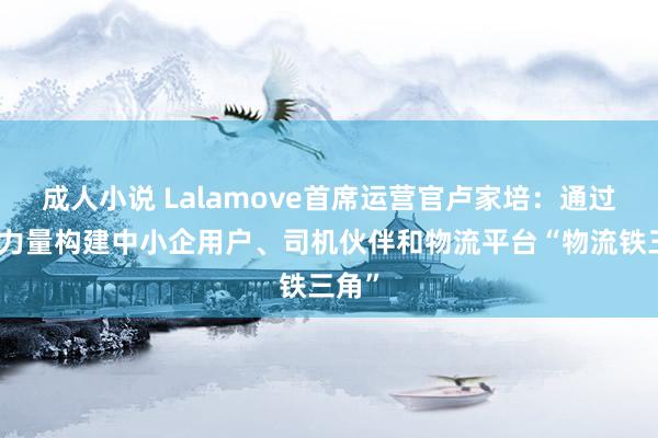 成人小说 Lalamove首席运营官卢家培：通过科技力量构建中小企用户、司机伙伴和物流平台“物流铁三角”