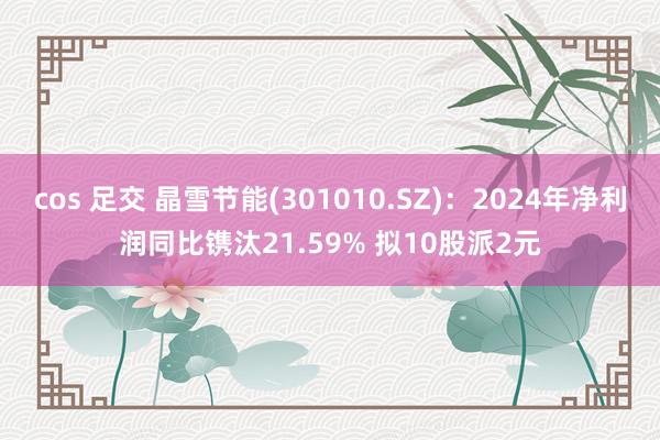 cos 足交 晶雪节能(301010.SZ)：2024年净利润同比镌汰21.59% 拟10股派2元
