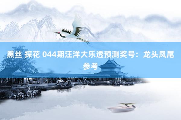 黑丝 探花 044期汪洋大乐透预测奖号：龙头凤尾参考