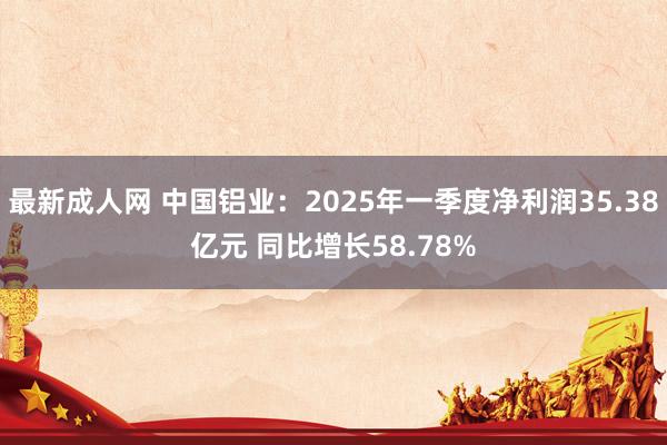 最新成人网 中国铝业：2025年一季度净利润35.38亿元 同比增长58.78%