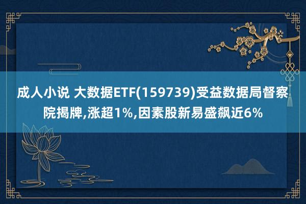 成人小说 大数据ETF(159739)受益数据局督察院揭牌，涨超1%，因素股新易盛飙近6%