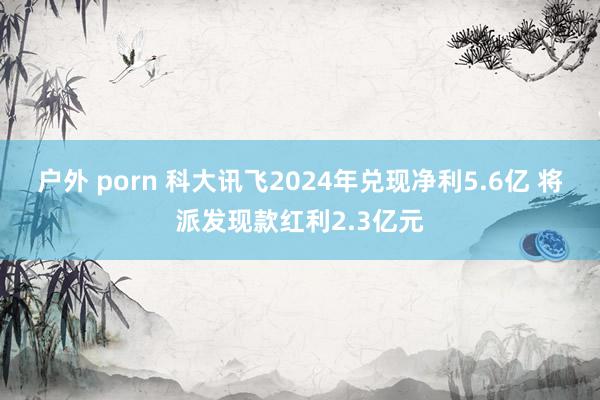 户外 porn 科大讯飞2024年兑现净利5.6亿 将派发现款红利2.3亿元