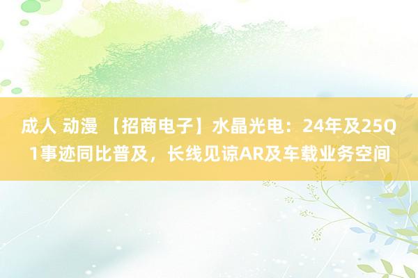 成人 动漫 【招商电子】水晶光电：24年及25Q1事迹同比普及，长线见谅AR及车载业务空间