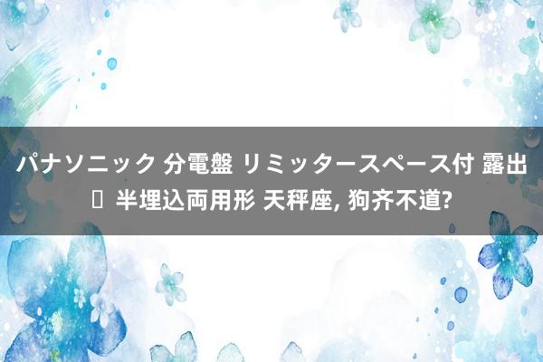 パナソニック 分電盤 リミッタースペース付 露出・半埋込両用形 天秤座， 狗齐不道?