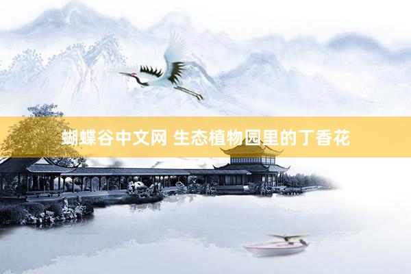 蝴蝶谷中文网 生态植物园里的丁香花